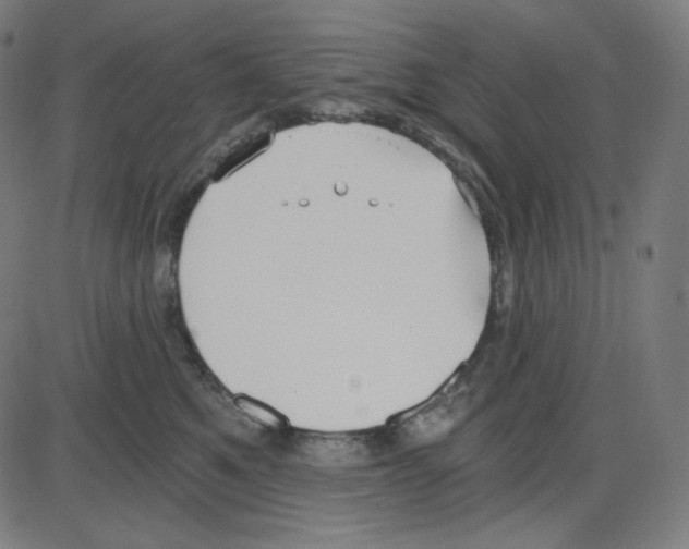 X0000084040521200703161834