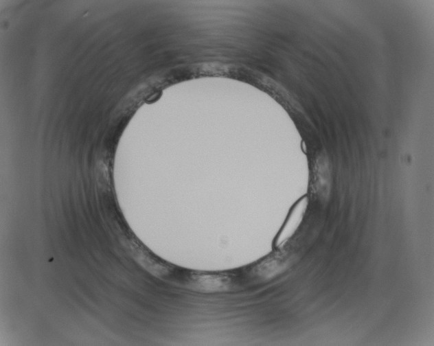 X0000084040522200703161834