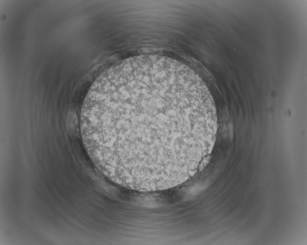 X0000084040523200703161834