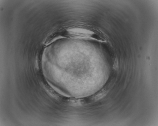 X0000084040524200703161834