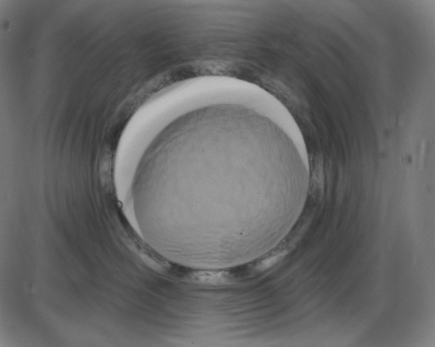 X0000084040526200703161834