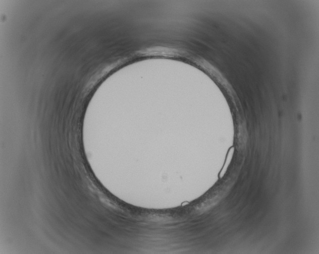 X0000084040529200703161833