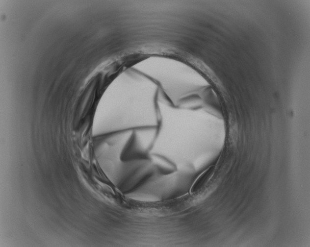 X0000084040530200703161833