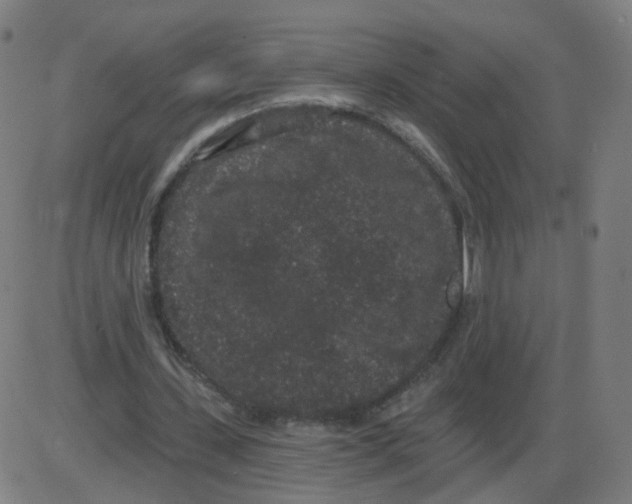 X0000084040531200703161834