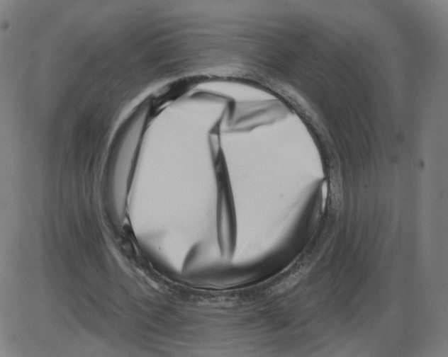 X0000084040532200703161834