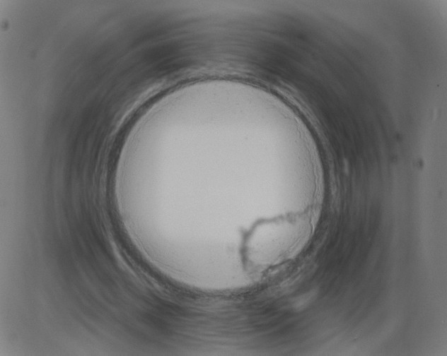 X0000084040534200703161834