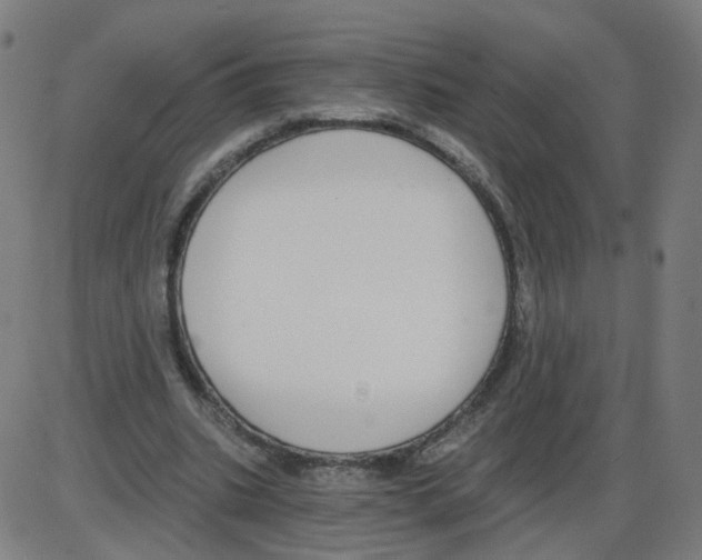 X0000084040535200703161834