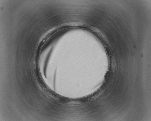 X0000084040536200703161834