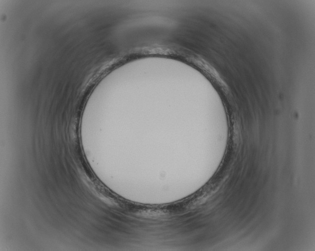 X0000084040537200703161834