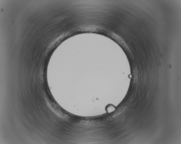 X0000084040538200703161834