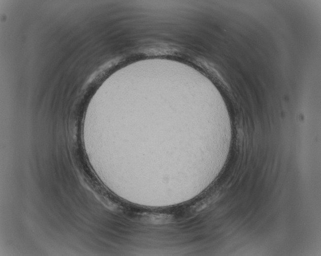 X0000084040539200703161834