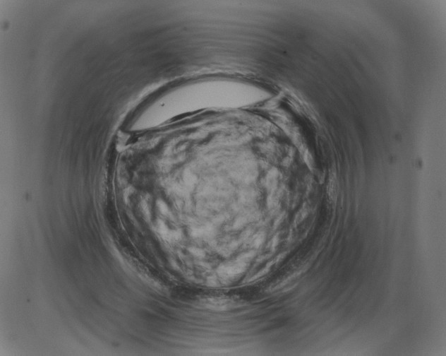 X0000084040540200703161834