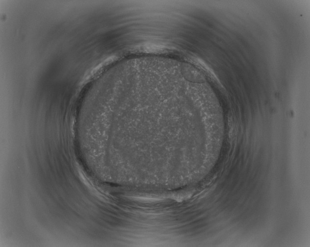 X0000084040542200703161834