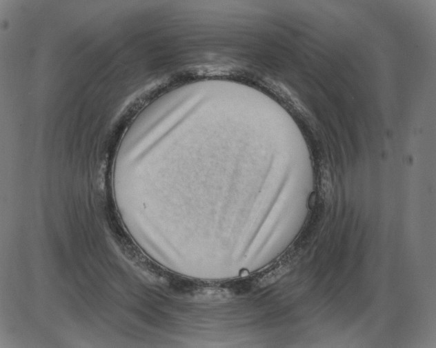 X0000084040543200703161834