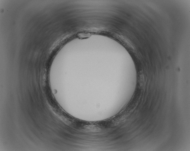 X0000084040544200703161834