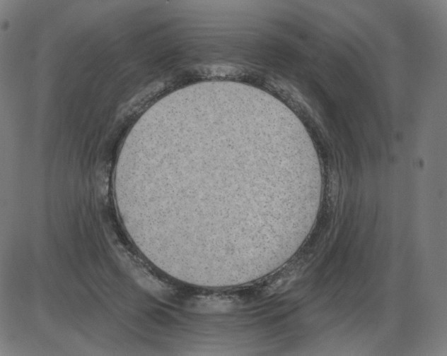 X0000084040545200703161834