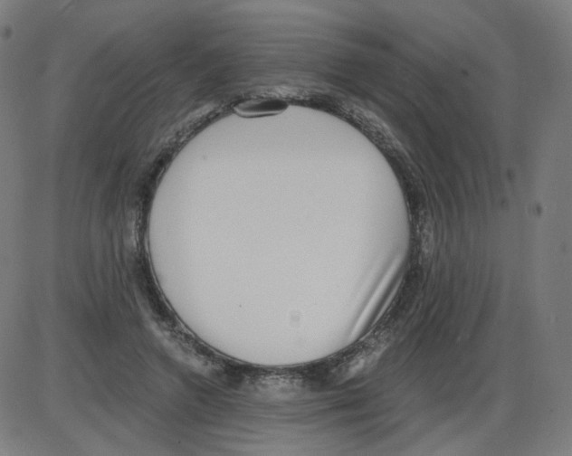 X0000084040546200703161834