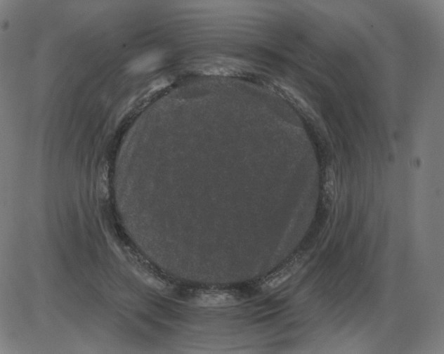 X0000084040547200703161834