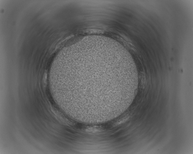 X0000084040550200703161834