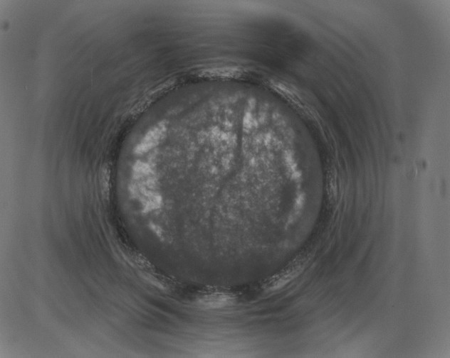 X0000084040551200703161834