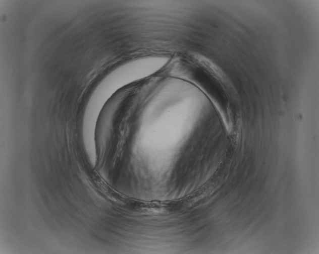 X0000084040552200703161834