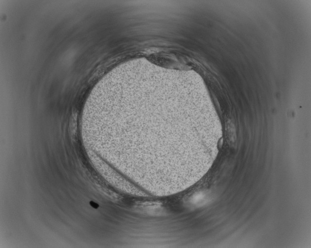 X0000084040554200703161834