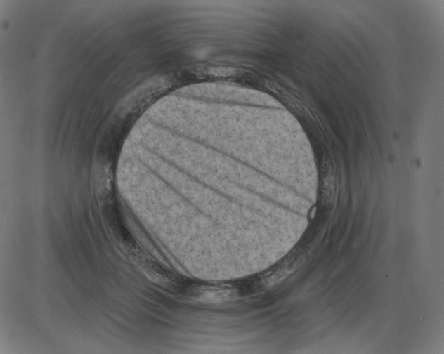 X0000084040555200703161834