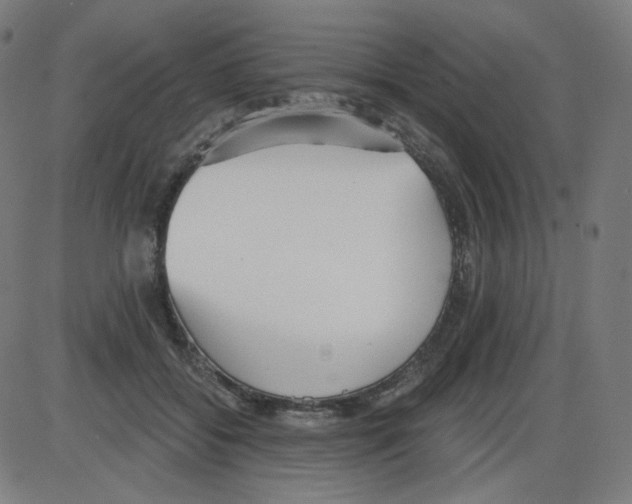 X0000084040556200703161834