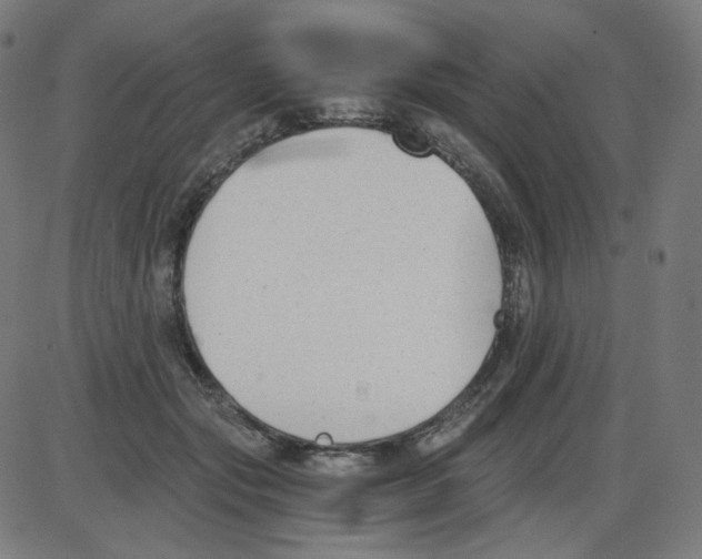 X0000084040557200703161834