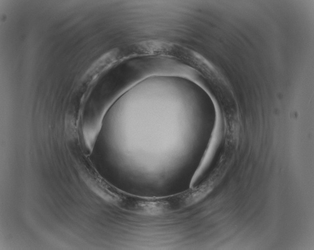 X0000084040558200703161834