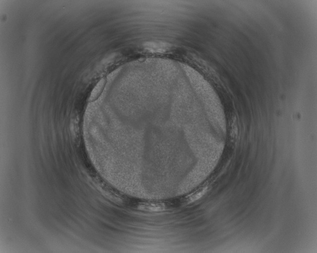 X0000084040559200703161834