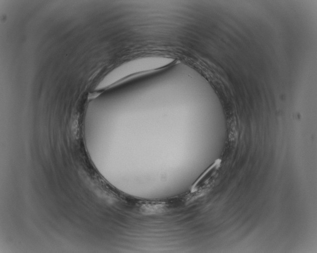 X0000084040560200703161834