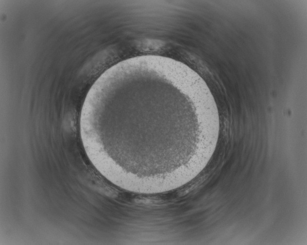 X0000084040561200703161834