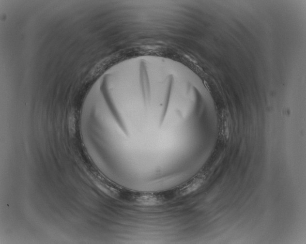 X0000084040562200703161834