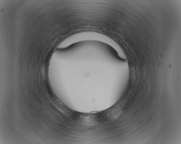 X0000084040564200703161834