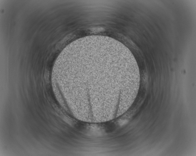 X0000084040565200703161834