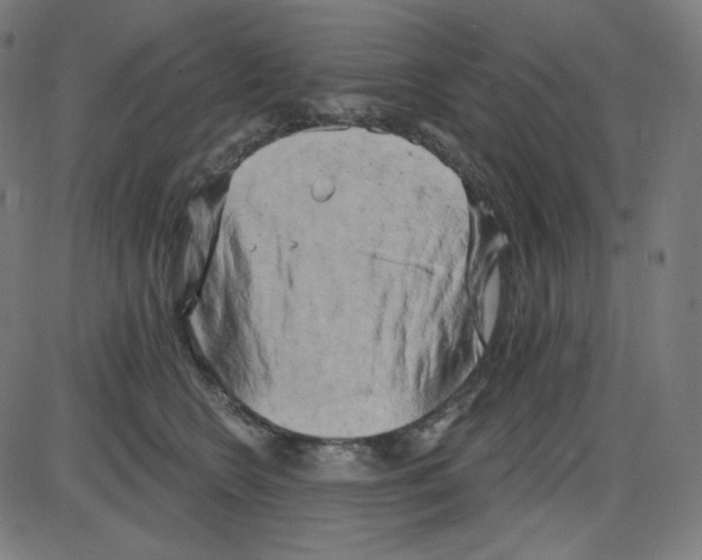 X0000084040566200703161834