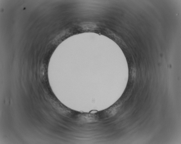 X0000084040567200703161834