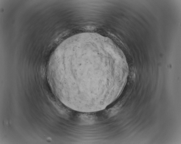 X0000084040568200703161834