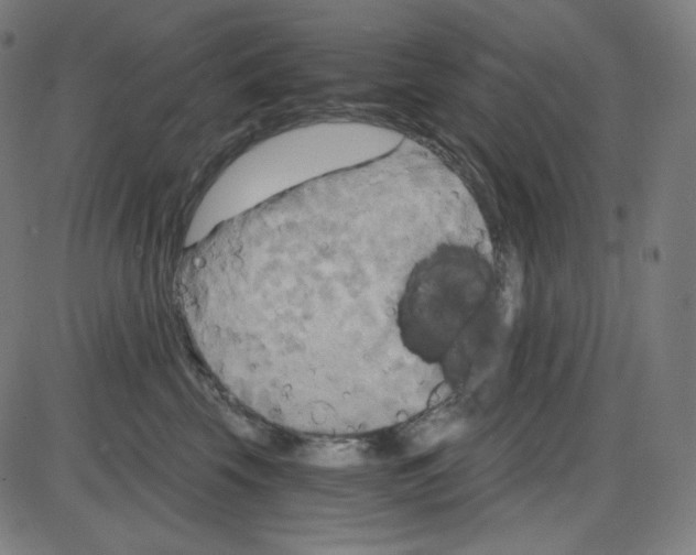 X0000084040569200703161834