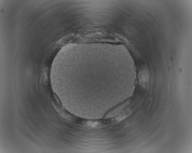 X0000084040570200703161834