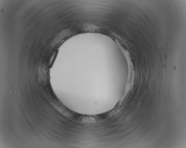 X0000084040572200703161834