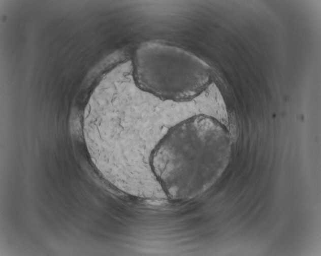 X0000084040573200703161834