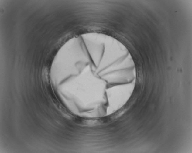 X0000084040575200703161834