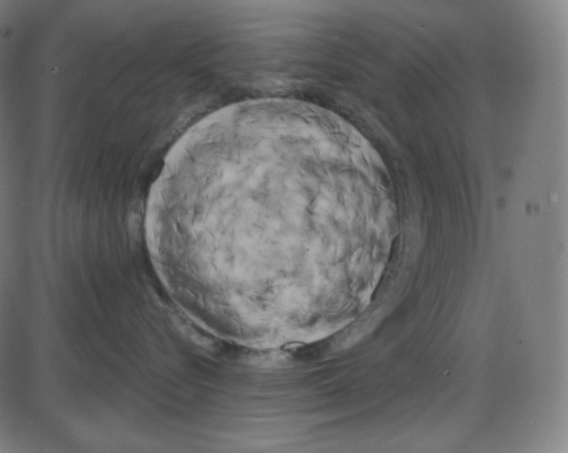 X0000084040576200703161834