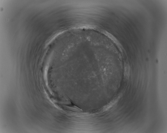 X0000084040577200703161833