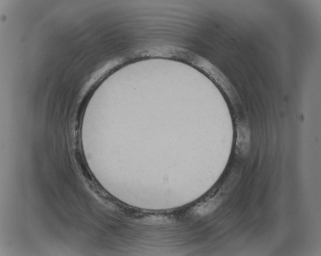 X0000084040578200703161833