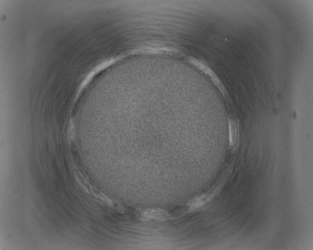 X0000084040579200703161833