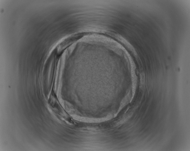 X0000084040580200703161833