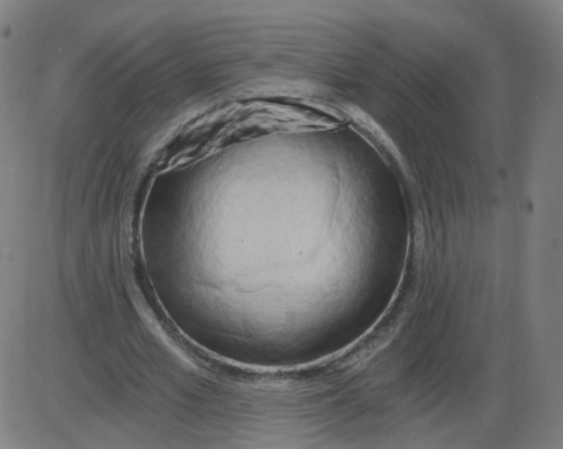 X0000084040581200703161833